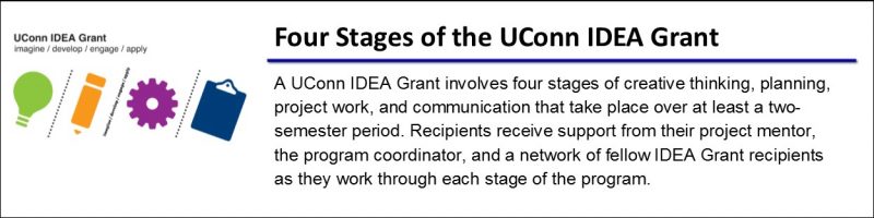 IDEA Grant Four Stages