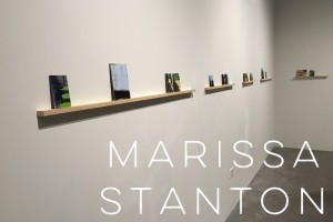 Marissa Stanton's art