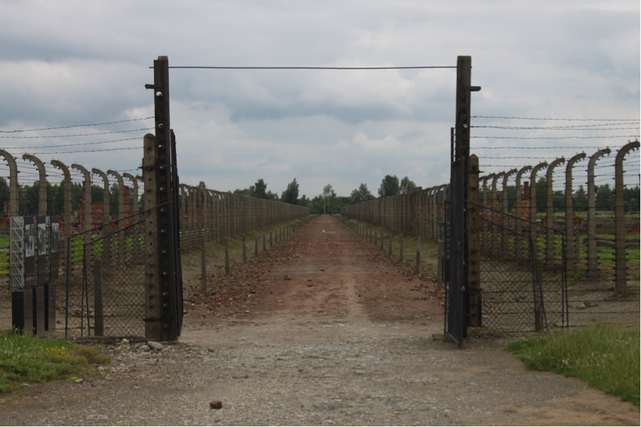 Untitled, Auschwitz, 2014.