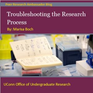 Troubleshooting the Research Process Blog Post