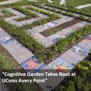 Link to UConn Today Article. Cognitive Garden Takes Root at UConn Avery Point.