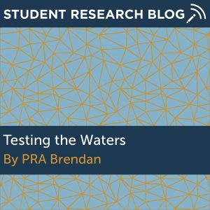 Testing the Waters. By PRA Brendan.