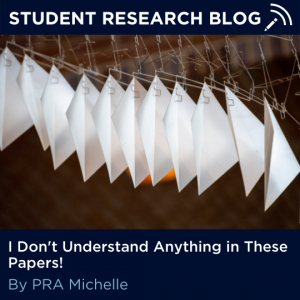 I Don't Understand Anything in These Papers! By PRA Michelle.