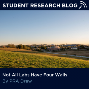 Not All Labs Have Four Walls. By PRA Drew.