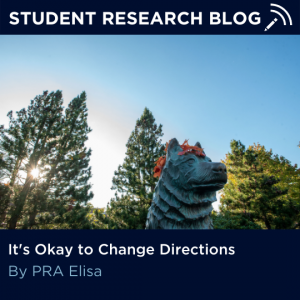 It's Okay to Change Directions. By PRA Elisa.