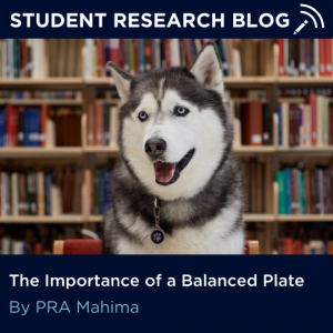 The Importance of a Balanced Plate. By PRA Mahima.