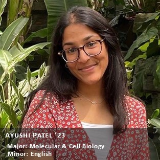 Peer Research Ambassador Ayushi Patel '23.