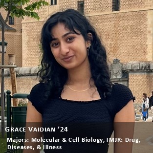 OUR Peer Research Ambassador Grace Vaidian '24, Majors: Molecular & Cell Biology, IMJR: Drugs, Diseases, and Illness.