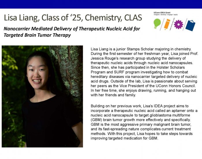 Bio for UConn IDEA Grant recipient Lisa Liang '25, Chemistry major.