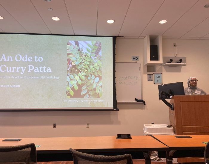 Khadija Shaikh, a UConn student, presents their project, “An Ode to Curry Patta: An Indian American Environmentalist's Anthology,” on the Asian American Art and Storytelling panel.