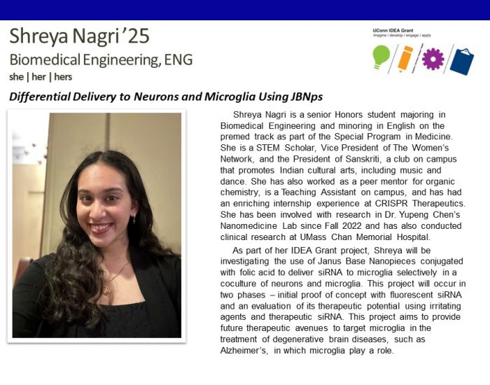 Bio for UConn IDEA Grant recipient Shreya Nagri '25, Biomedical Engineering major.
