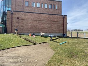 The students worked with Facilities and Dietz to disconnect the downspouts from the adjacent building, dig trenches, and install new piping. (Contributed photo) UConn Today https://today.uconn.edu/2024/05/tending-your-garden-new-rain-garden-installation-offers-lessons-in-local-impact/.