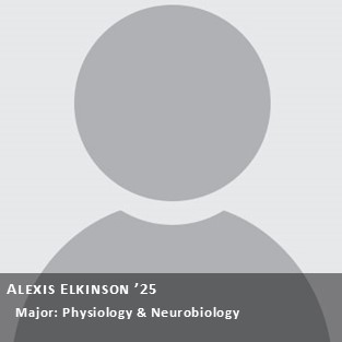 OUR Peer Research Ambassador Alexis Elkinson '25, Major: Physiology & Neurobiology.