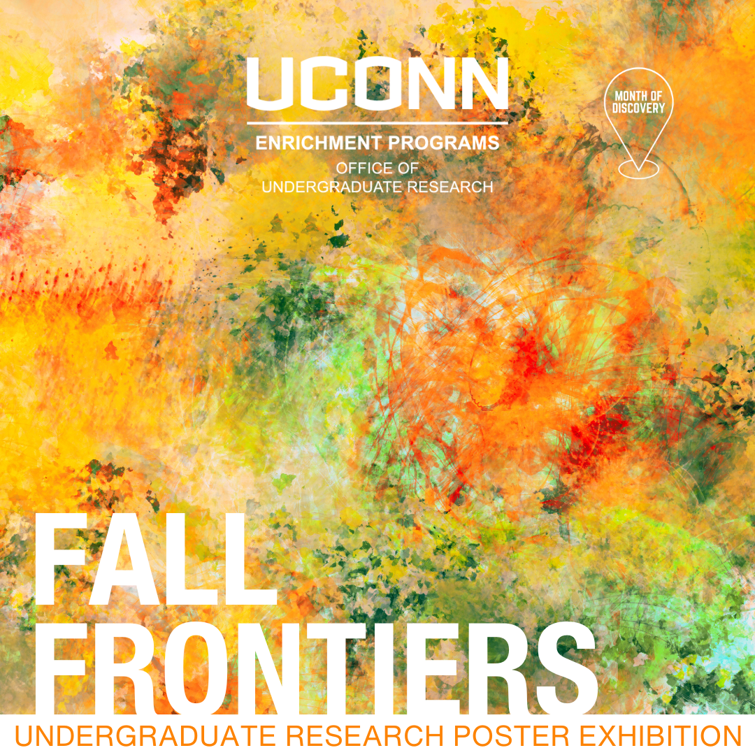 Abstract image in fall colors (yellows/oranges/greens) with Fall Frontiers 2024 in white text.