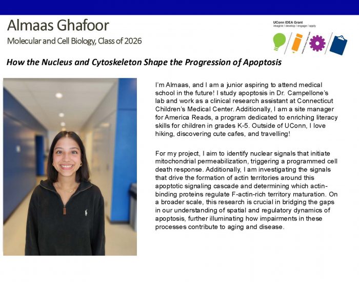 Bio for UConn IDEA Grant recipient Almaas Ghafoor '26, Molecular & Cell Biology.