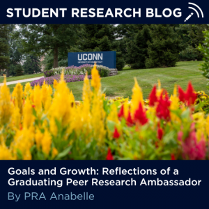 Picture of the UConn Sign with bright yellow and red flowers below. Text: "Student Research Blog, Goals and Growth: Reflections of a Graduating Peer Research Ambassador, By PRA Anabelle"