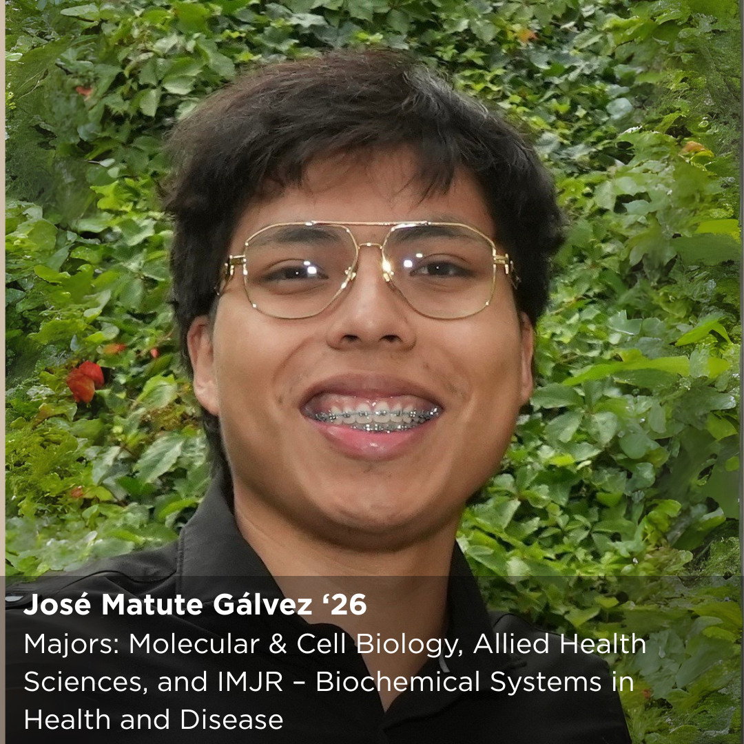 José Matute Gálvez ‘26 Major: Molecular & Cell Biology, Allied Health Sciences, and IMJR – Biochemical Systems in Health and Disease