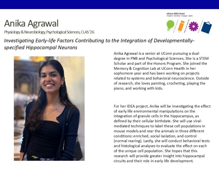 Bio for UConn IDEA Grant recipient Anika Agrawal '26.