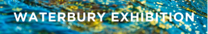 Blue background with gold specks. Text in white: Waterbury Exhibition.