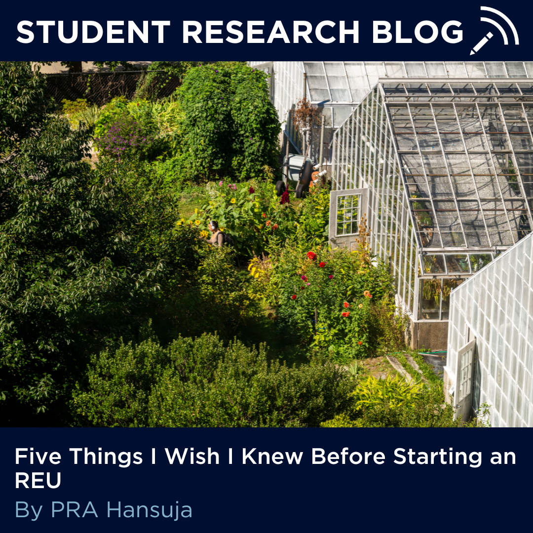 Text over an image. Bar the the top says "Student Research Blog" and bar at the bottom says "Five Things I Wish I knew Before Starting an REU by PRA Hansuja." Image is view of the biology Biodiversity Education & Research Greenhouses from the School of Pharmacy/Biology Building on Sept. 2, 2025. Scene depicts trees and plants next to a greenhouse.