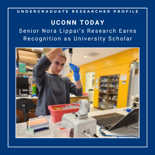 Image of female student concentrating as she pipettes into a vial in her research lab with text: Undergraduate Researcher Profile - UConn Today: Senior Nora Lippai's Research Earns Recognition as University Scholar - link: https://today.uconn.edu/2026/04/senior-nora-lippais-research-earns-recognition-as-university-scholar/.