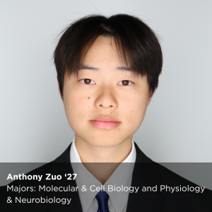Photo of Peer Research Ambassador with this text overlay: "Anthony Zuo ‘27
Majors: Molecular & Cell Biology and Physiology & Neurobiology"