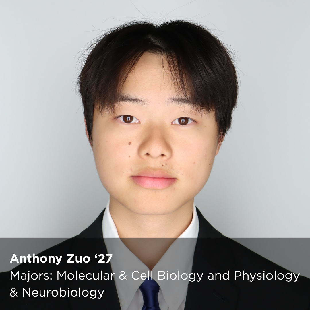 Photo of Peer Research Ambassador with this text overlay: "Anthony Zuo ‘27 Majors: Molecular & Cell Biology and Physiology & Neurobiology"